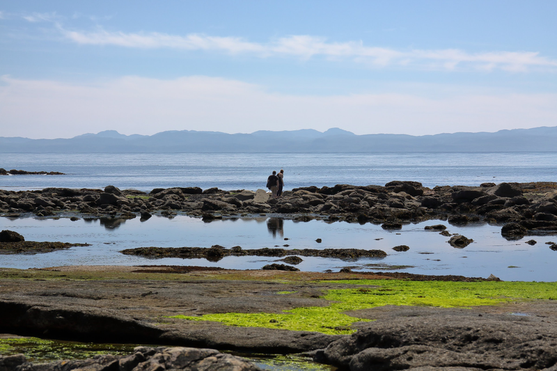 Illustration for article titled Pics from the (Ocean Floor): 2018-05-05 at Botanical Beach